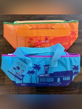 Trader Joe’s lunch tote - Blue